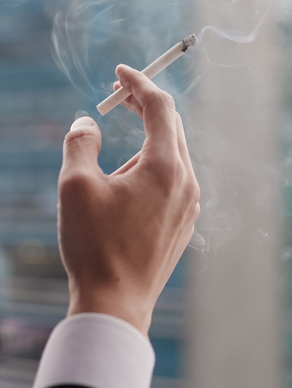 Los cigarros y el fumar